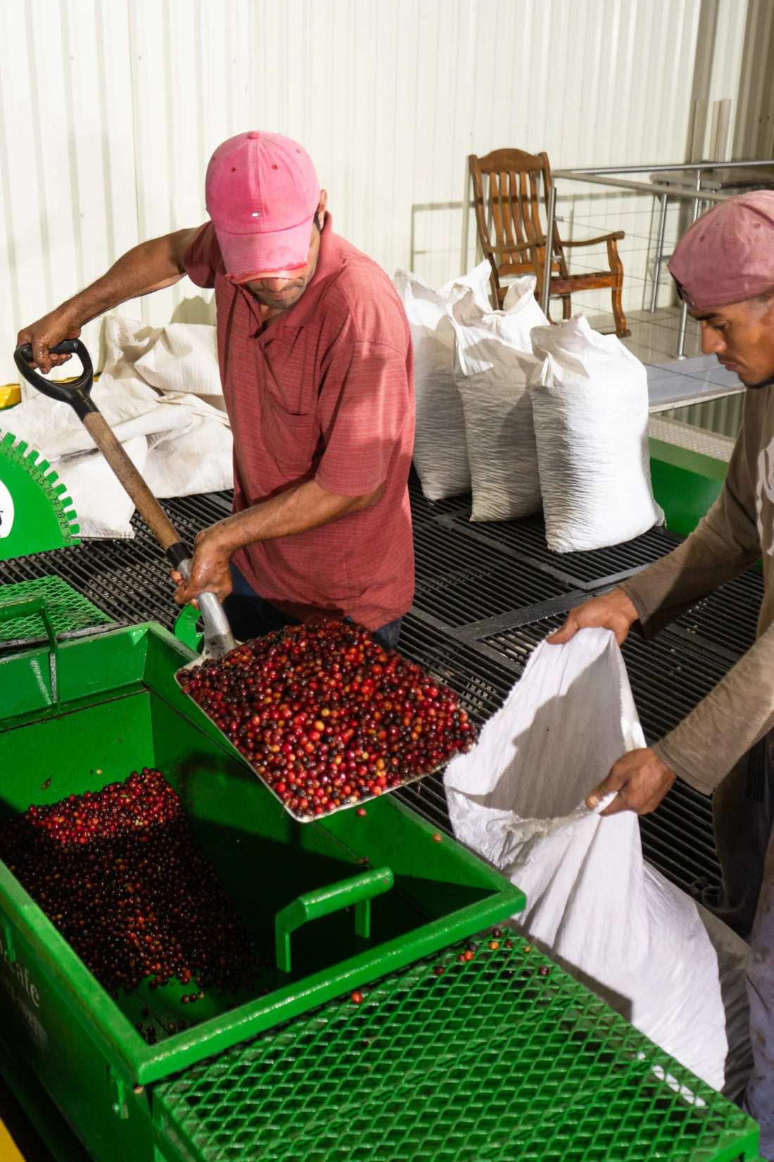 A Black Diamond Process at Las Lajas Coffee Farm