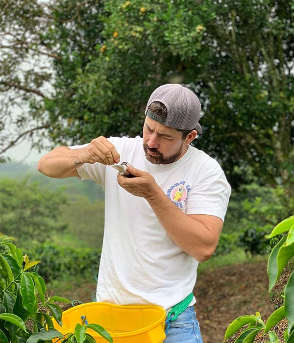 Edwin Noreña at Finca Campo Hermoso doing a quality inspection on his coffees